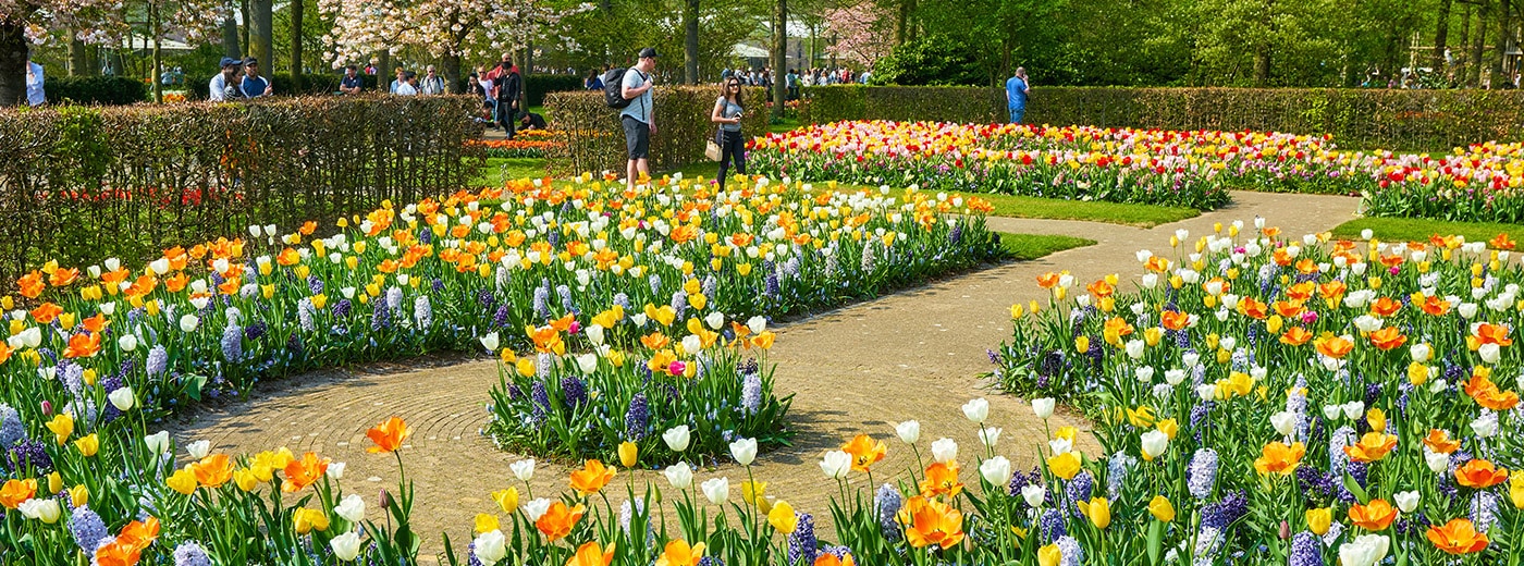 2025 Stunning Tulip Cruise Fun For Less Tours