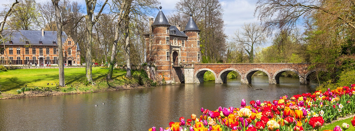 2025 Stunning Tulip Cruise Fun For Less Tours